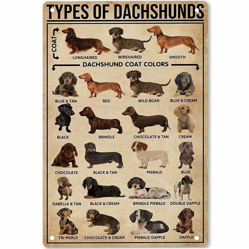 Pet Lovers Wall Decoration Sausage Dog - Image 3